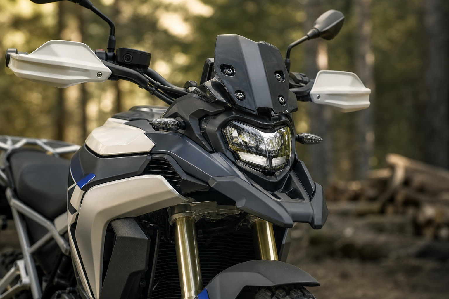 BMW F 450 GS trail intermédiaire - illustration article blog moto